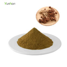 Natural Agrocybe Aegerita Extract Agrocybe Cylindracea Extract